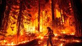Waldbrand