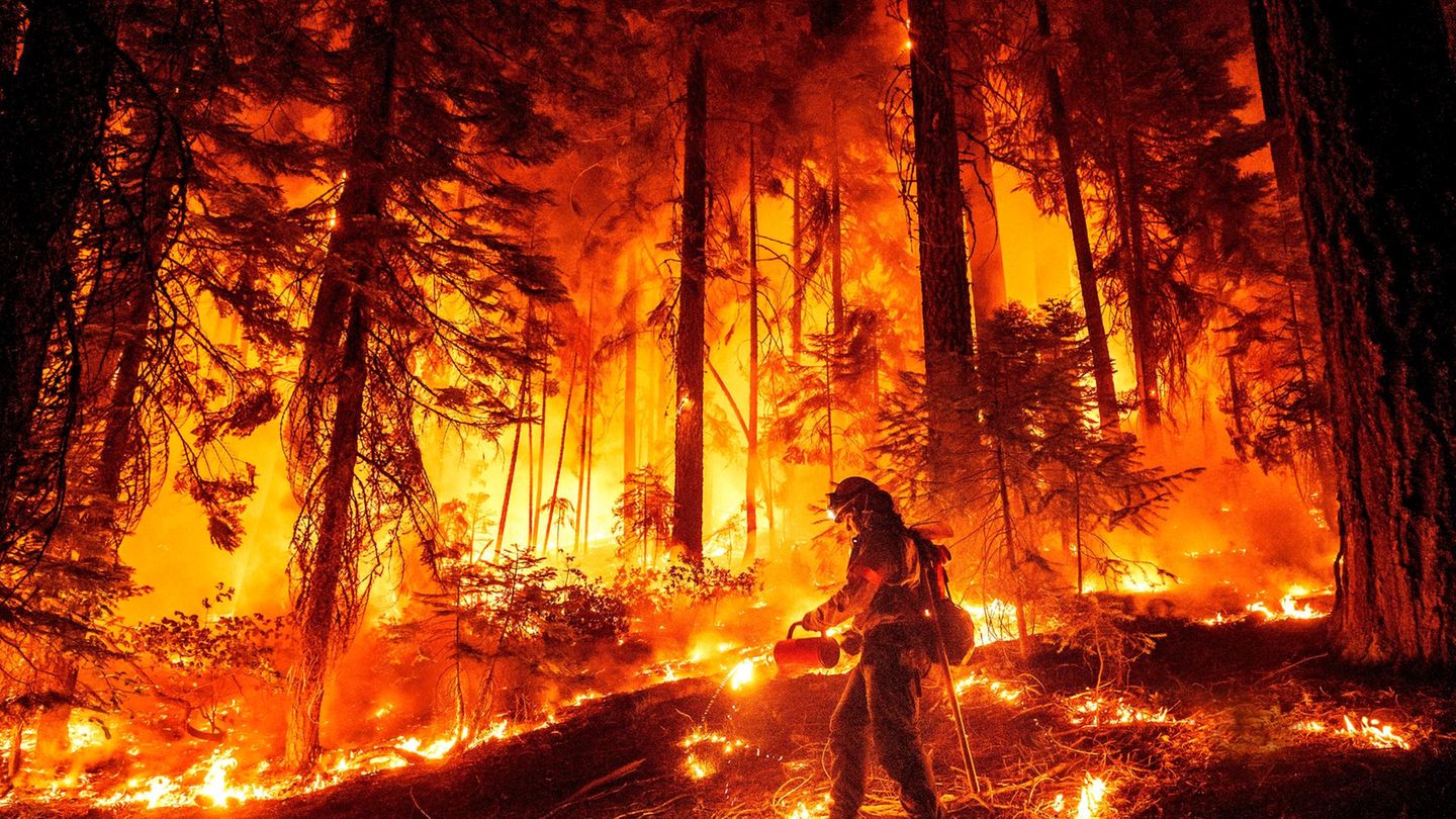 Waldbrand Waldbrand
