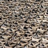 Hunderte Menschen sitzen auf dem Boden aufgereiht, um in Haft gebracht zu werden