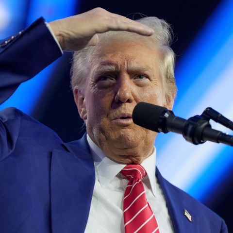 Der designierte US-Präsident Donald Trump bei einer Rede