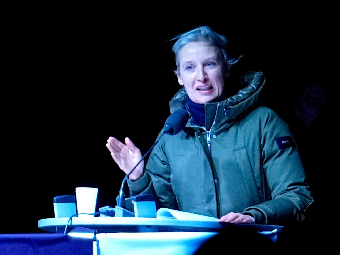 In Magdeburg sagt Alice Weidel: "Der gehört nicht zu uns" | STERN.de