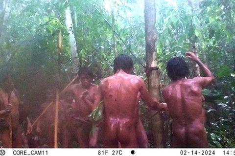 Der Stamm am Massaco-Flusses wird immer zahlreicher – ein Trend, der in vielen isolierten Gemeinden im Amazonasgebiet zu beobachten ist