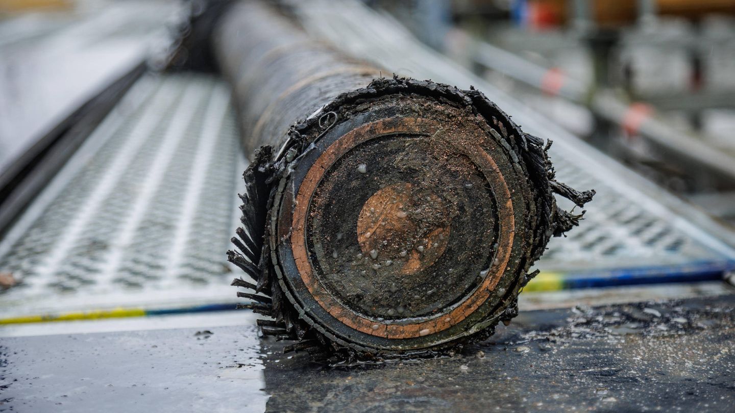 Estlink 2: Submarine cable disrupted – police are checking external influences