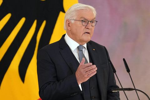 Bundespräsident Steinmeier bei seiner Rede