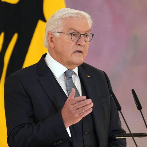 Bundespräsident Steinmeier bei seiner Rede