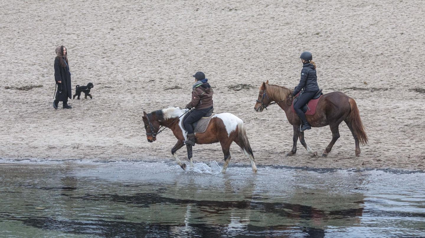 Eine Spaziergängerin mit Hund und zwei Reiterinnen am Strand von Timmendorfer Strand