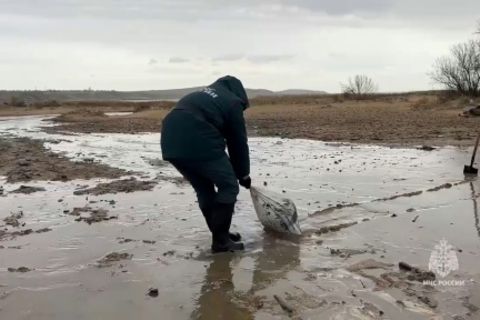 Aufräumarbeiten nach Ölpest im Schwarzen Meer