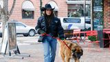 Trotz Trennung von ihrem Ehemann Mauricio Umansky verbringt Schauspielerin Kyle Richards ihren Winterurlaub in Aspen zusammen mit ihrem Ex und den vier gemeinsamen Kindern. Und mit ihrem Hund!