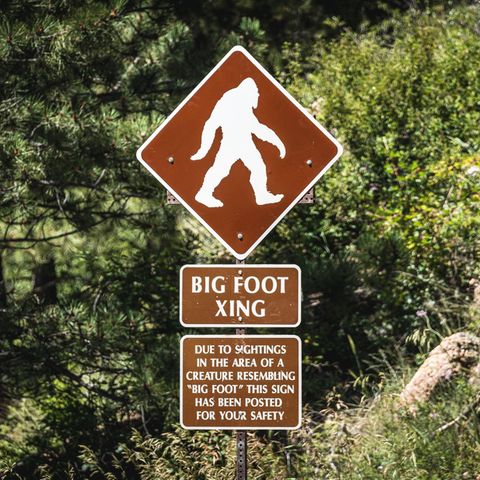 Ein Schild mit Bigfoot