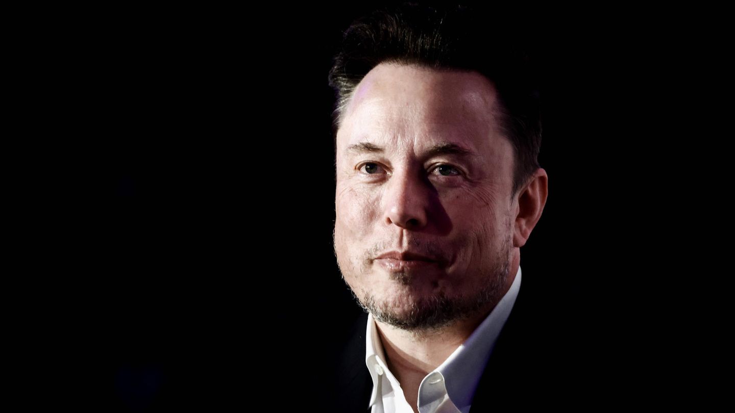 Elon Musk: How German media classifies his AfD recommendation