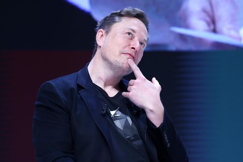 Elon Musk – Trumps "First Buddy" und Freund von Rechtspopulisten weltweit