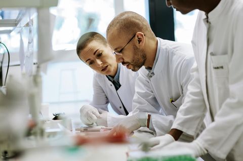 Forscher diskutieren in einem Labor