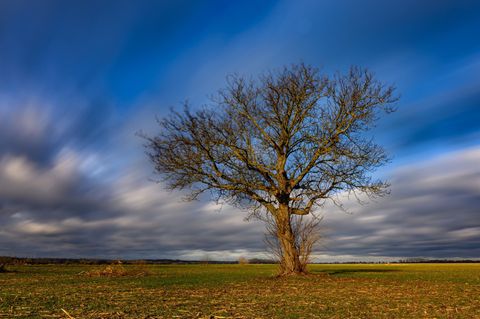 Wettervorhersage: Wolken ziehen über die Landschaft im Oderbruch im östlichen Brandenburg