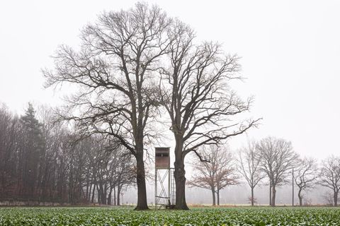 Ein Hochsitz für Jäger