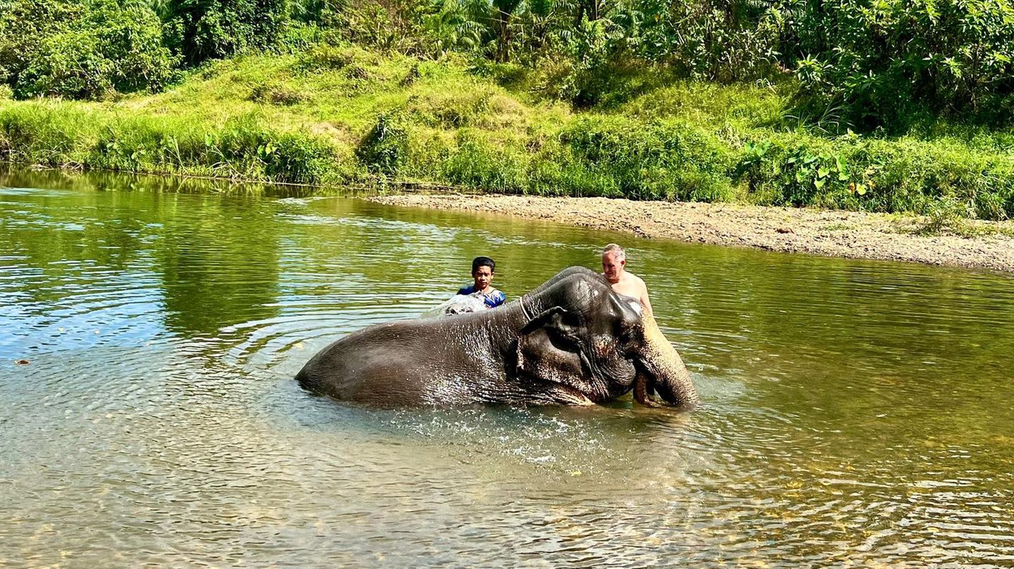 Thailand: Ein Tourist und ein Mahout baden einen Elefanten