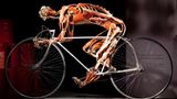 Gunther von Hagens Radfahrer