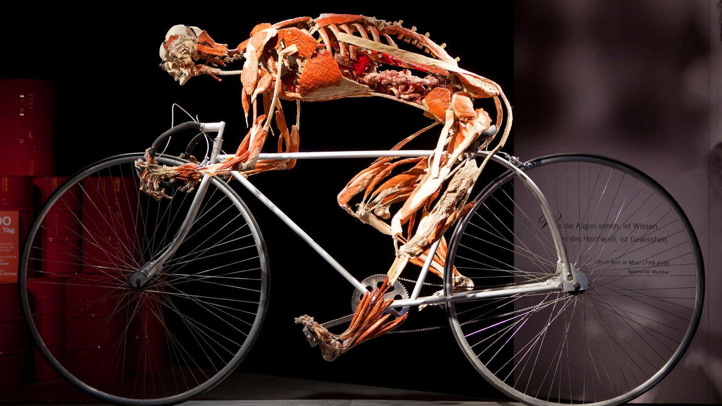 Gunther von Hagens Radfahrer