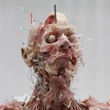 Gunther von Hagens Plastination