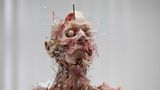 Gunther von Hagens Plastination