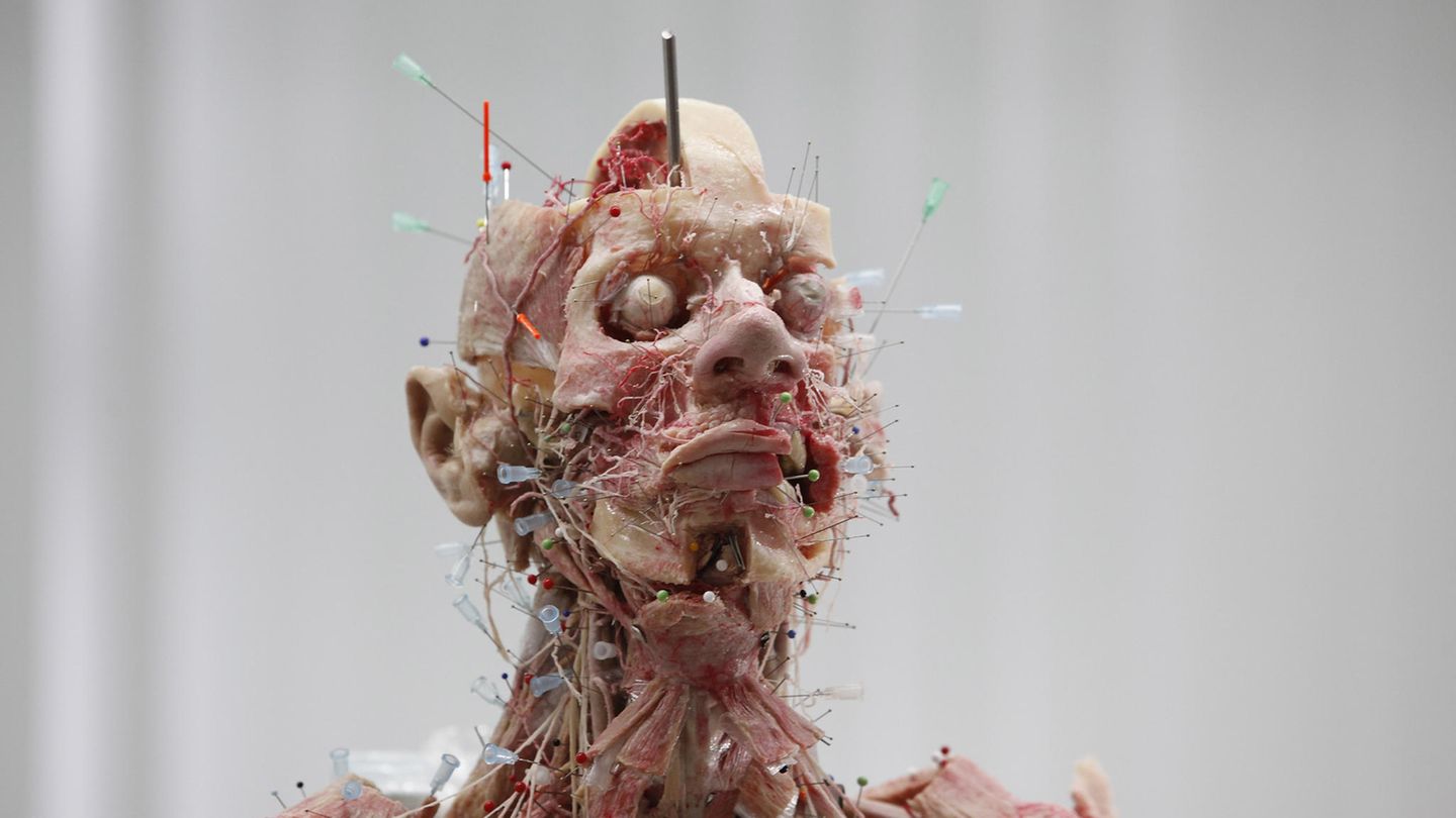 Gunther von Hagens Plastination