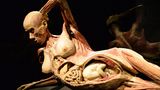 Gunther von Hagens