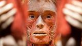 Gunther von Hagens Gesicht