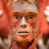 Gunther von Hagens Gesicht