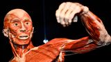 Gunther von Hagens Football-Spieler