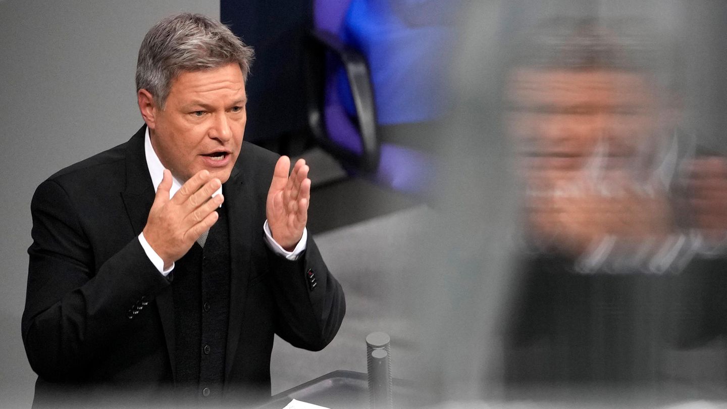 Robert Habeck on Syrian refugees: If you don’t work, you should leave