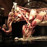 Gunther von Hagens
