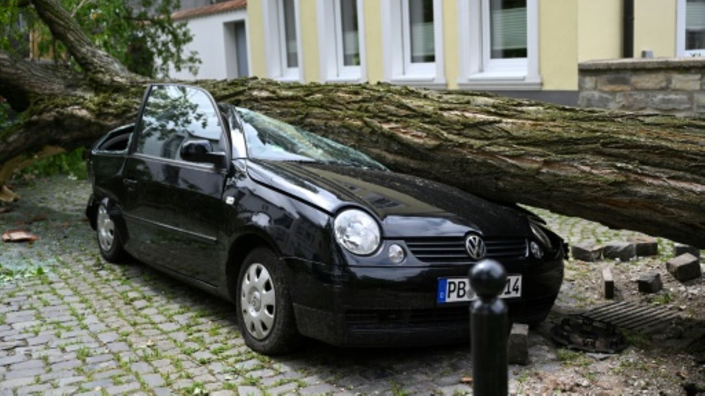 Umgestürzter Baum auf Auto