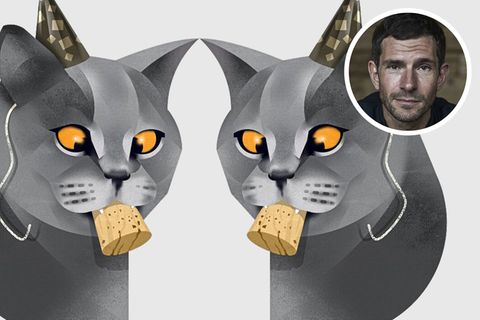 Illustration einer Katze mit einem Korken im Mund / Micky Beisenherz
