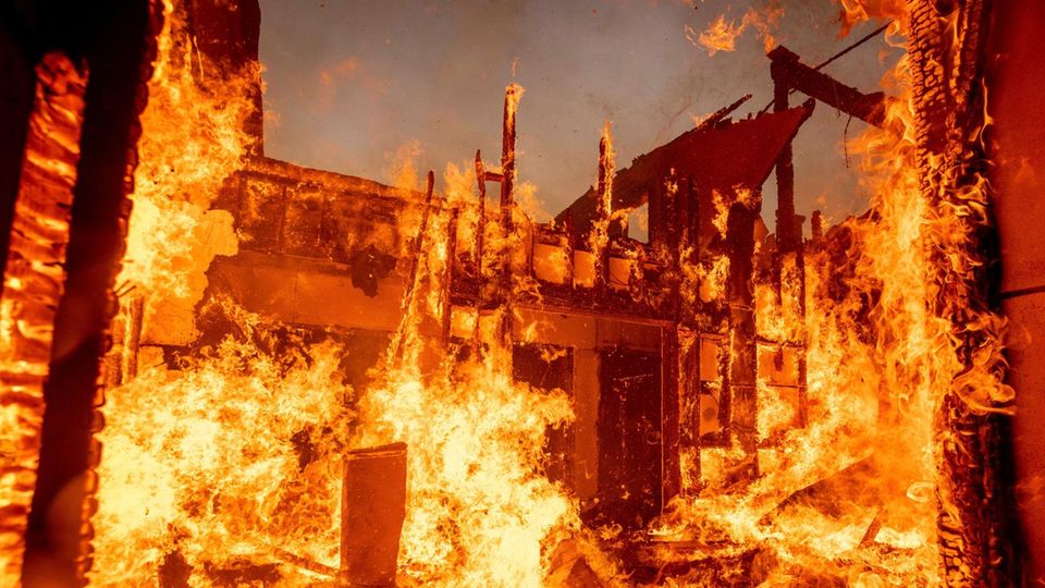 Was als kleines Feuer am Rand von Los Angeles begann, eskalierte rasch zu einem verheerenden Brand. Anwohner von Pacific Palisades mussten teils fluchtartig ihre Häuser verlassen.