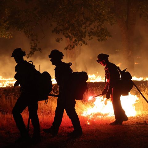 Waldbrände Kalifornien Feuerwehrmänner legen Gegenfeuer
