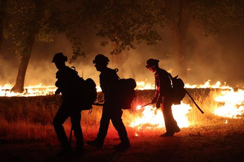 Waldbrände Kalifornien Feuerwehrmänner legen Gegenfeuer