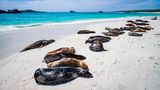 Galapagos-Inseln