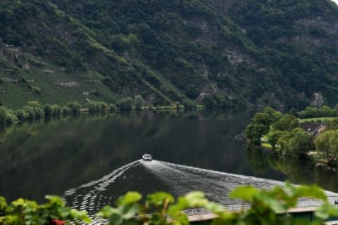 Mosel nahe Trier 2014