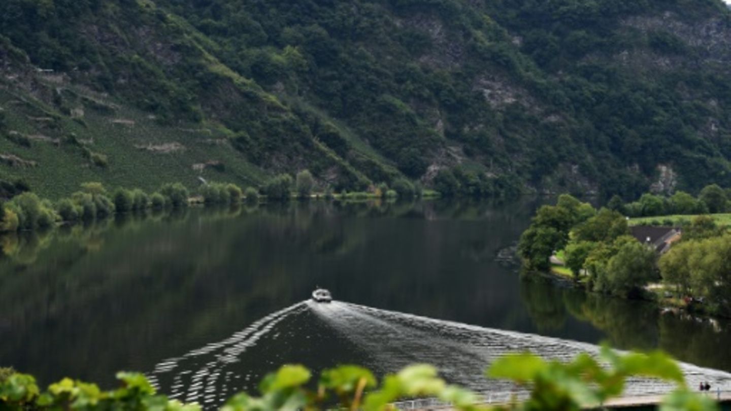 Mosel nahe Trier 2014