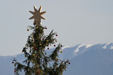 Weihnachtsbaum