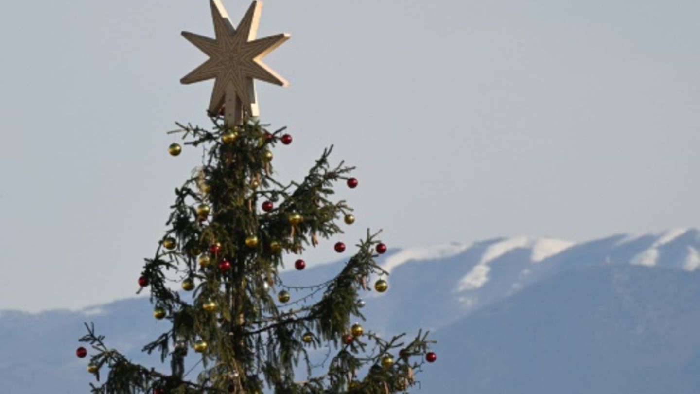 Weihnachtsbaum