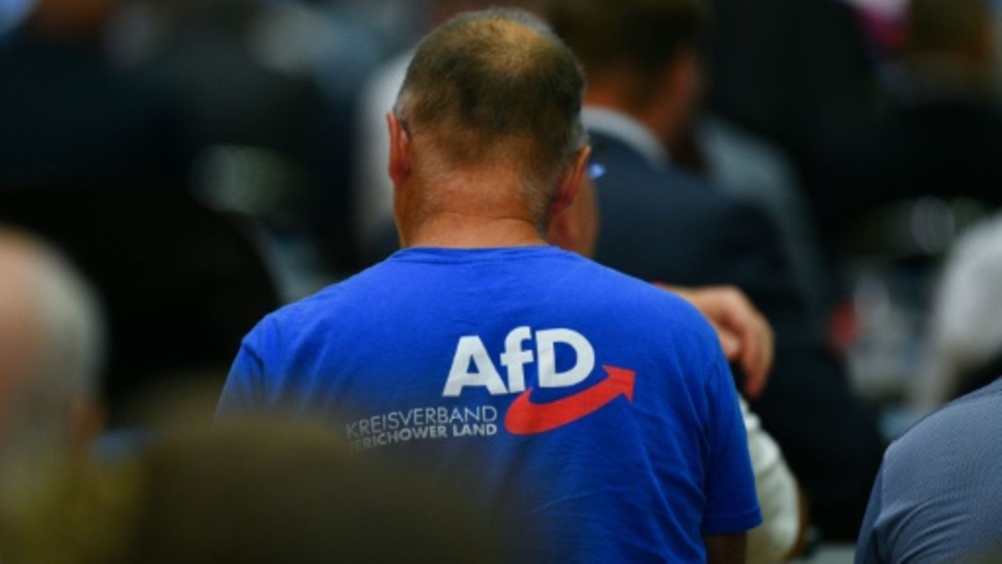 Delegierter auf AfD-Parteitag in Essen
