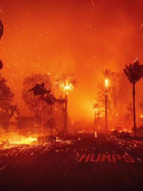 Sieht so die Hölle aus? Diese Straße in Pacific Palisades, einem vornehmen Stadtteil von Los Angeles, steht Dienstag komplett in Flammen