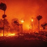 Sieht so die Hölle aus? Diese Straße in Pacific Palisades, einem vornehmen Stadtteil von Los Angeles, steht Dienstag komplett in Flammen