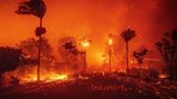 Sieht so die Hölle aus? Diese Straße in Pacific Palisades, einem vornehmen Stadtteil von Los Angeles, steht Dienstag komplett in Flammen