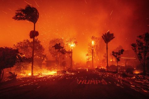 Sieht so die Hölle aus? Diese Straße in Pacific Palisades, einem vornehmen Stadtteil von Los Angeles, steht Dienstag komplett in Flammen