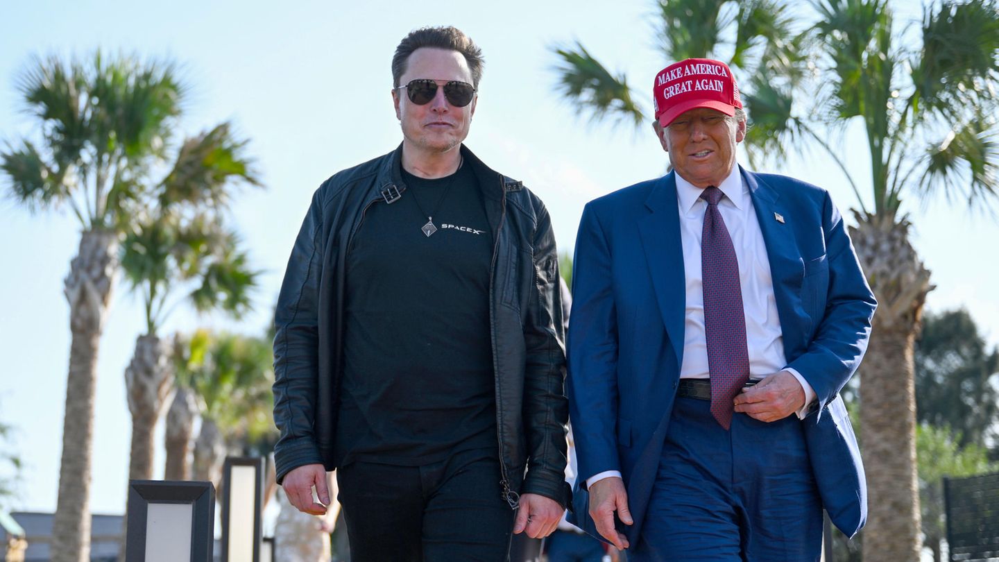 Elon Musk und Donald Trump zusammen auf einem Palmenboulevard Elon Musk und Donald Trump zusammen auf einem Palmenboulevard