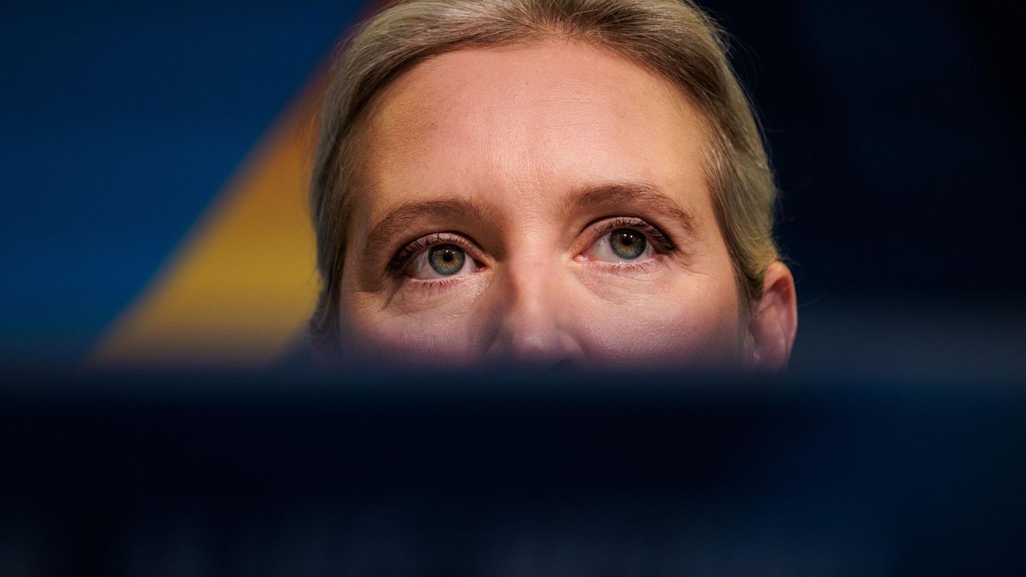 Alice Weidel