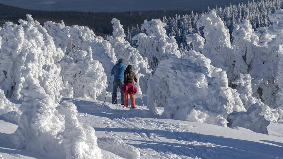 Günstig Reisen im Januar Harz