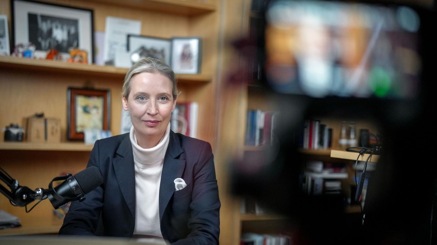 Alice Weidel: The reactions to her conversation with Elon Musk