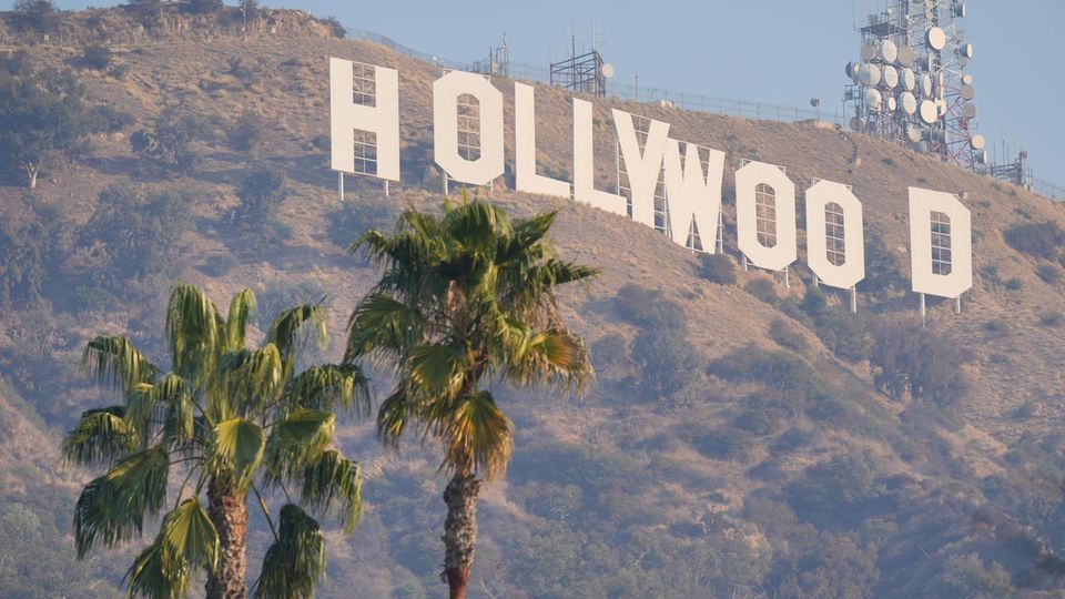 Rauch umhüllt das berühmte Hollywood-Sign und die davor stehenden Palmen